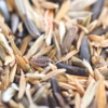 Harvester Ant Seed Mix (2x3'' packet)