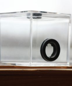 Test Tube Formicarium