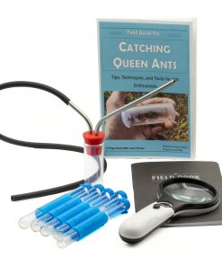 Ant Equipment