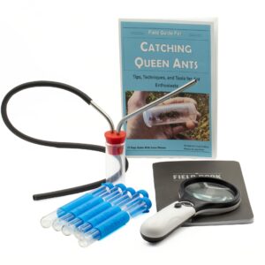 Ant Equipment