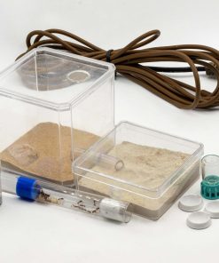Ant farm for sale