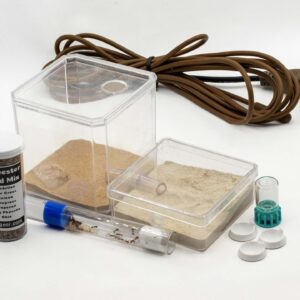 Ant farm for sale